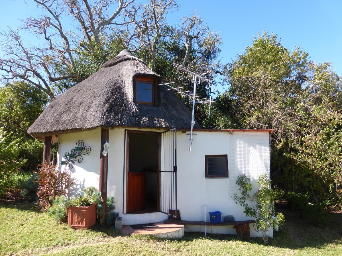ホテルMorley House Bathurst エクステリア 写真